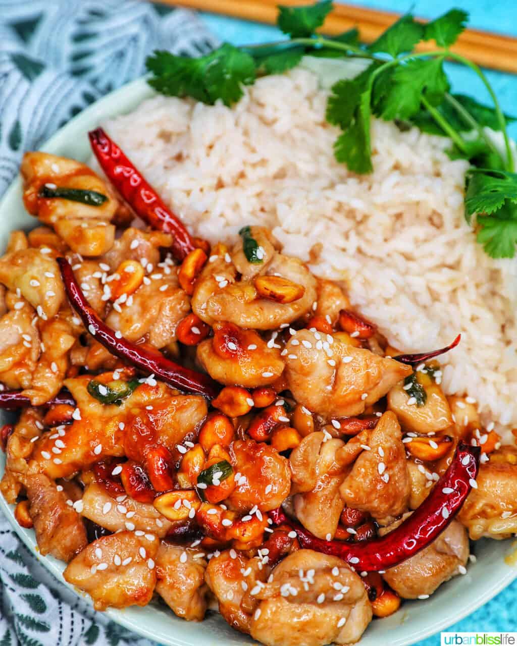 Kung Pao Chicken with rice