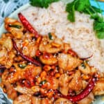 Kung Pao Chicken with rice