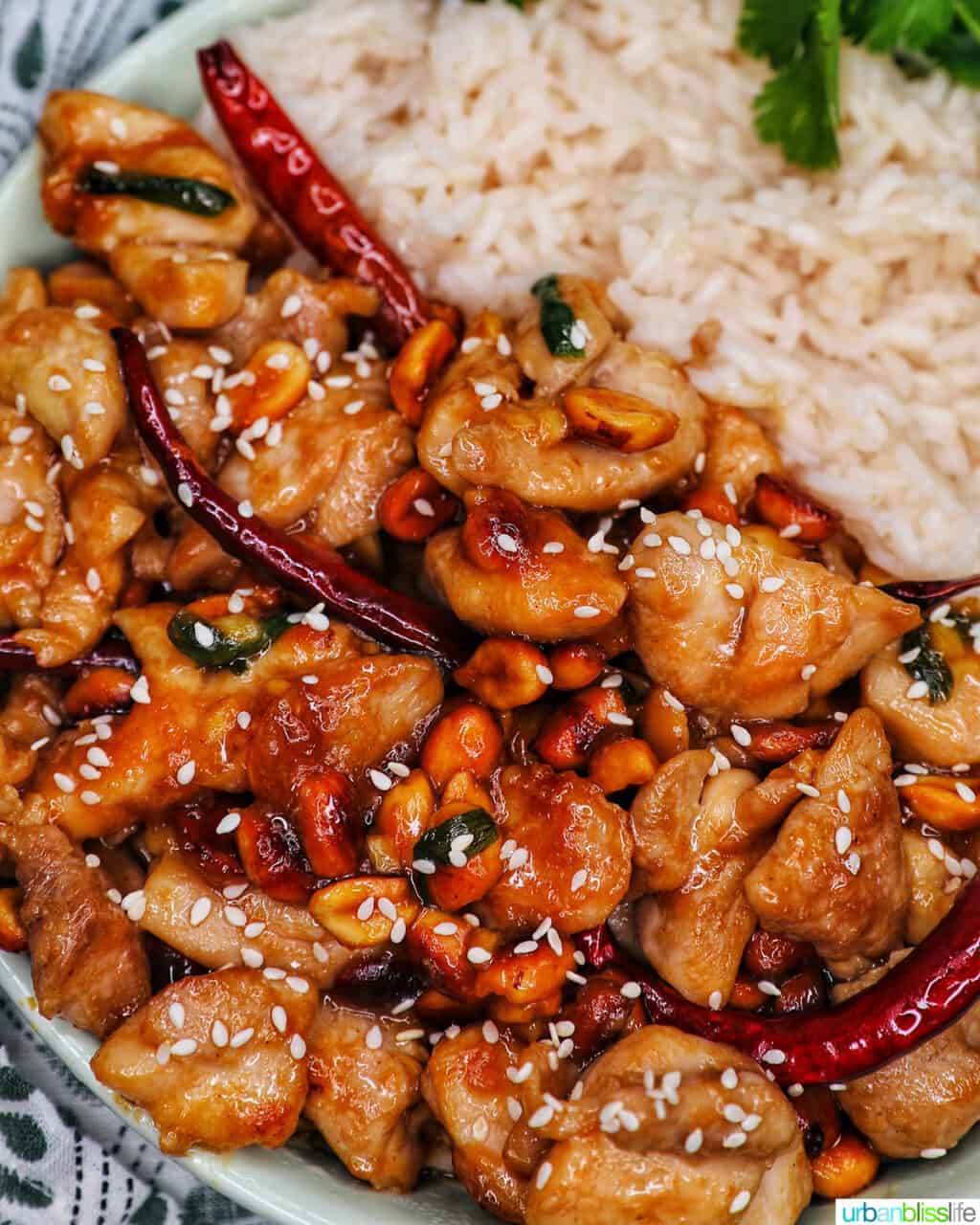 kung pao chicken with rice