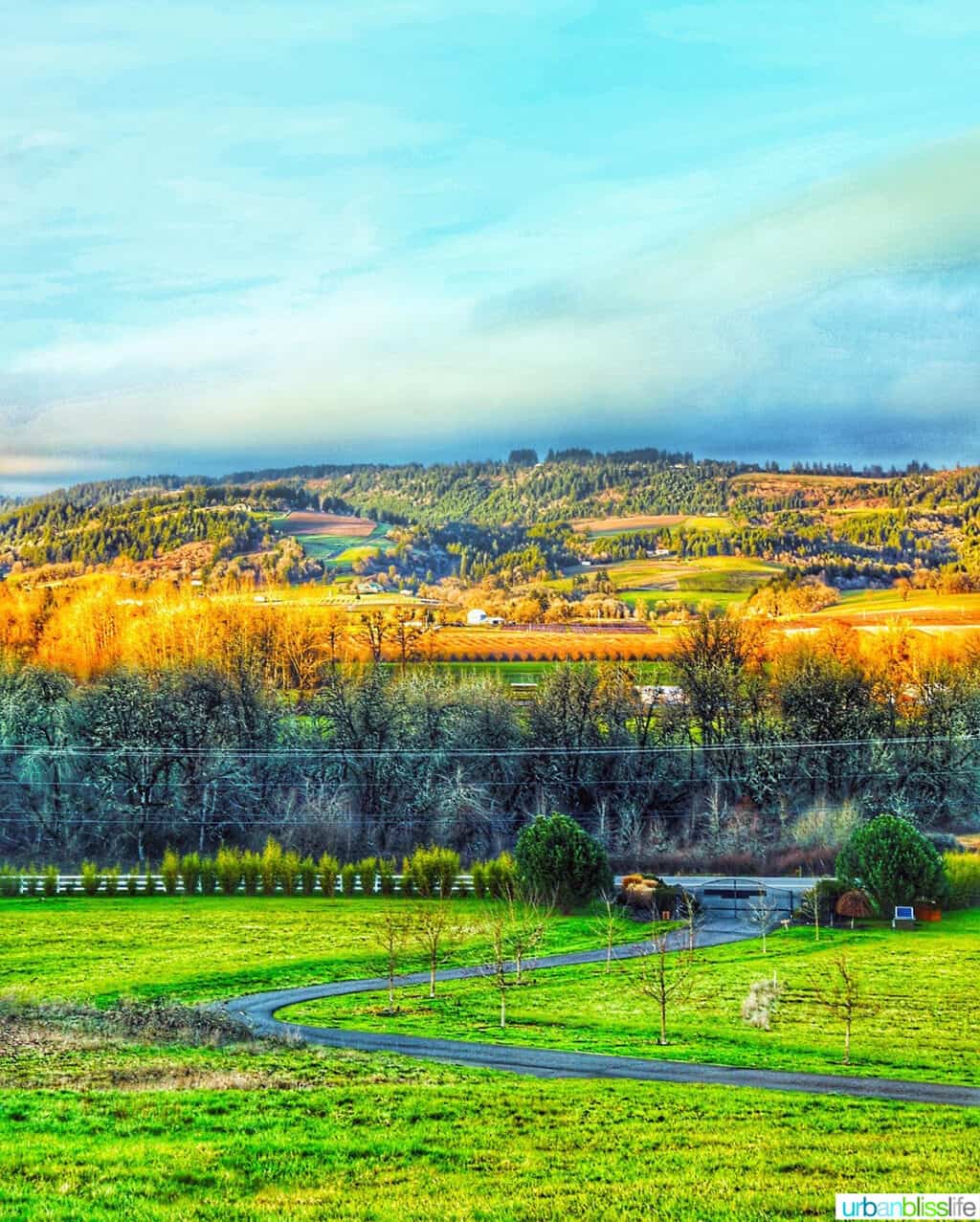 wine country view at The Setting Inn Willamette Valley