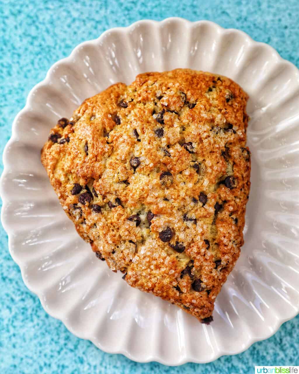 chocolate chip scone