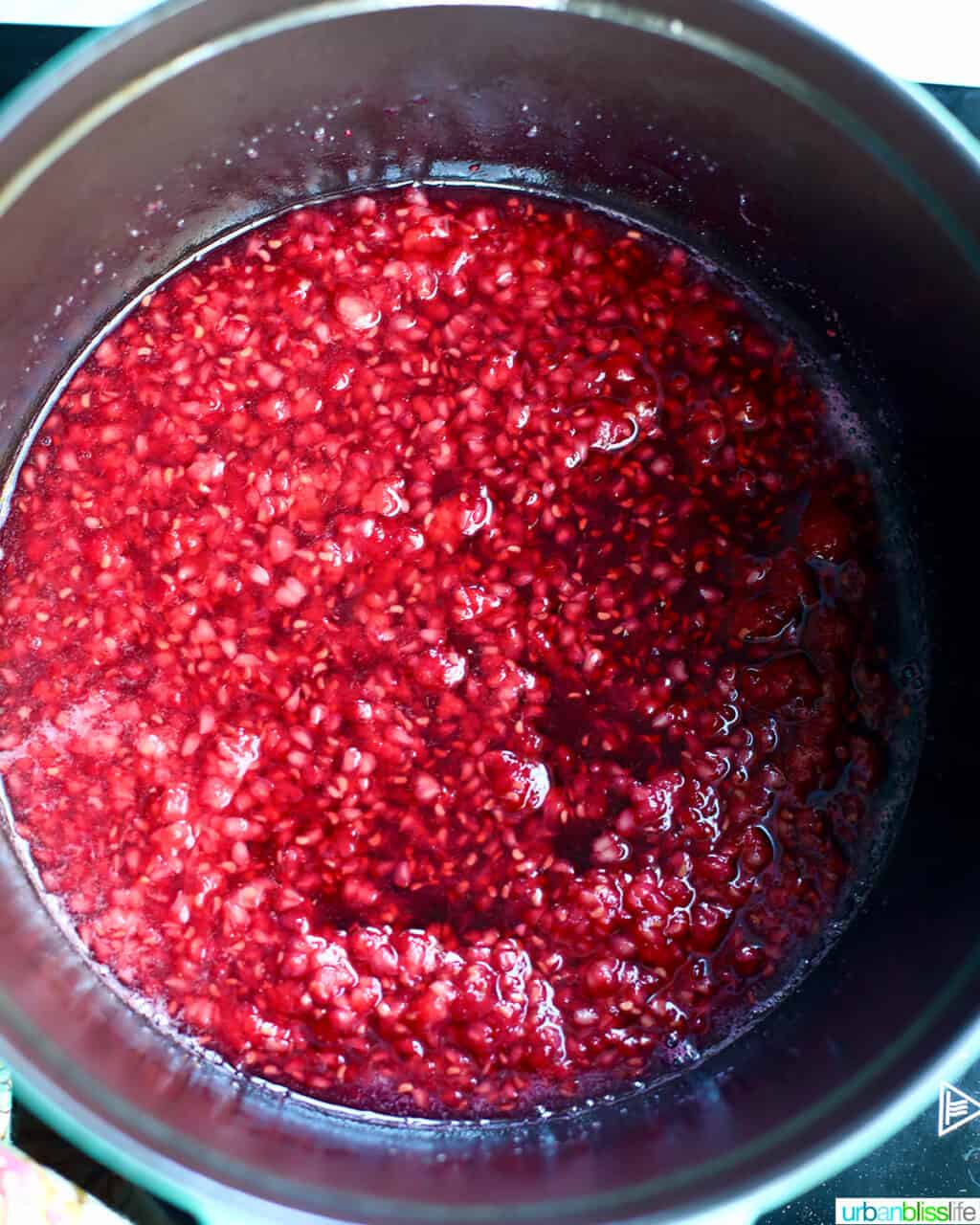 raspberry syrup unstrained