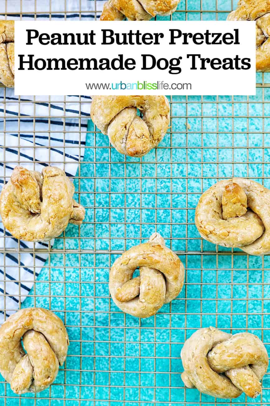 Peanut Butter Pretzel Homemade Dog Treats with text overlay