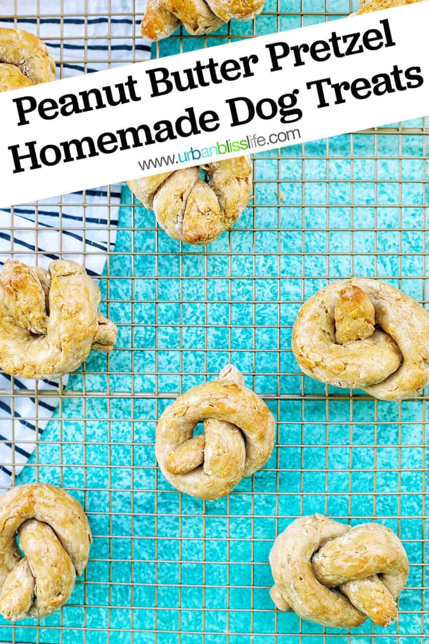 Peanut Butter Pretzel Homemade Dog Treats with text overlay