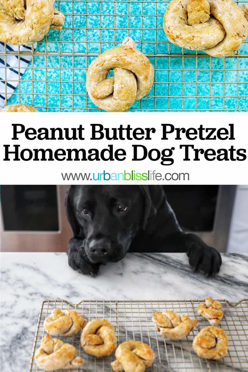 Peanut Butter Pretzel Homemade Dog Treats with text overlay