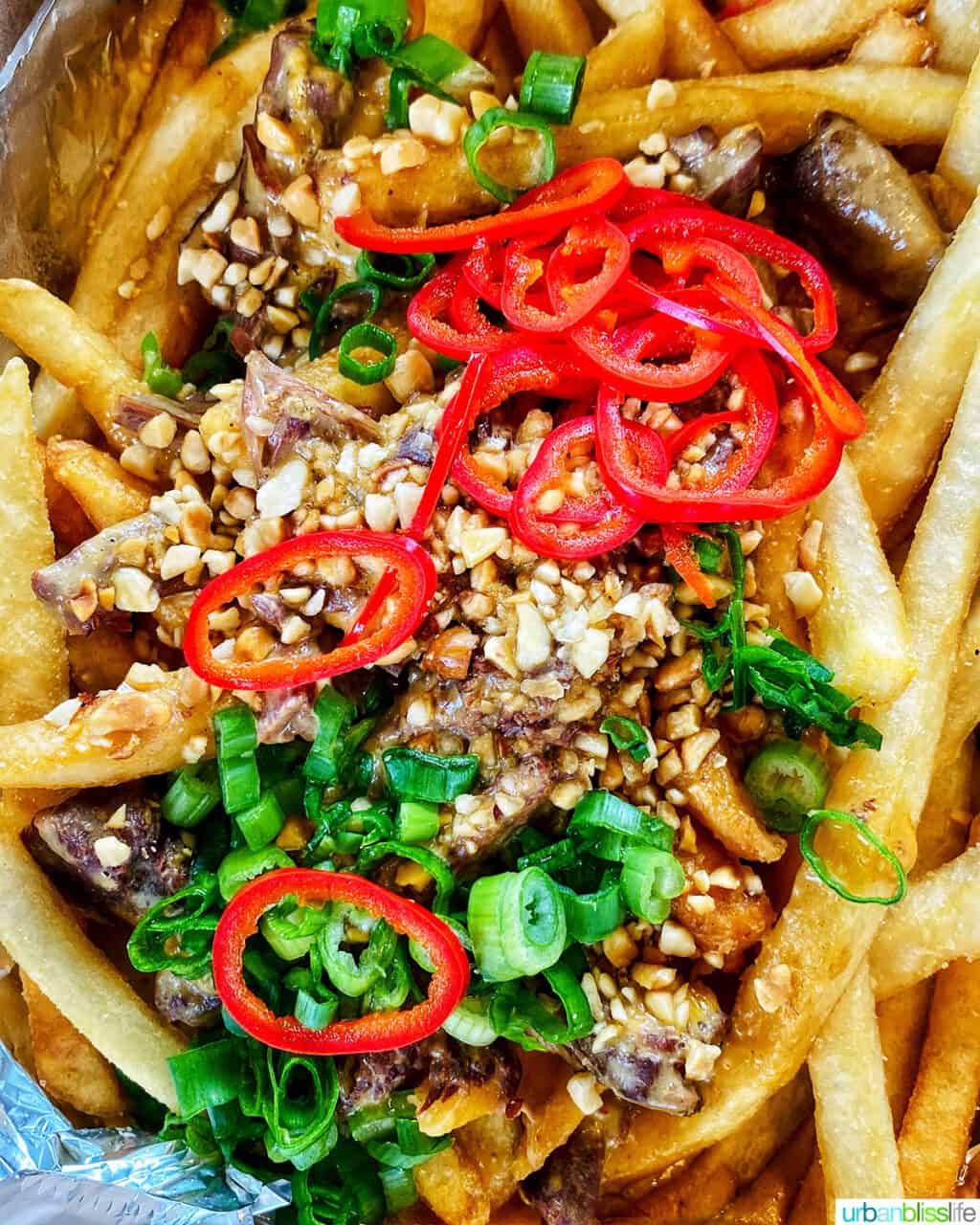 kare kare fries at Baon Kainan Filipino food truck