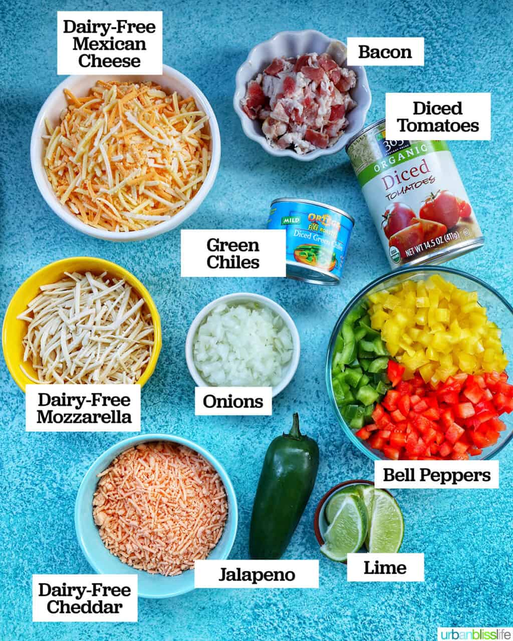 ingredient to make dairy free queso dip