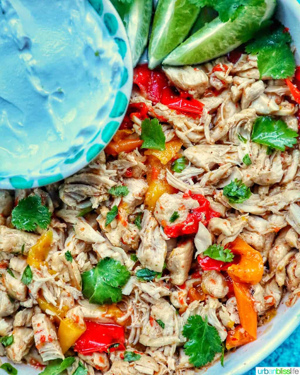 shredded chicken fajitas