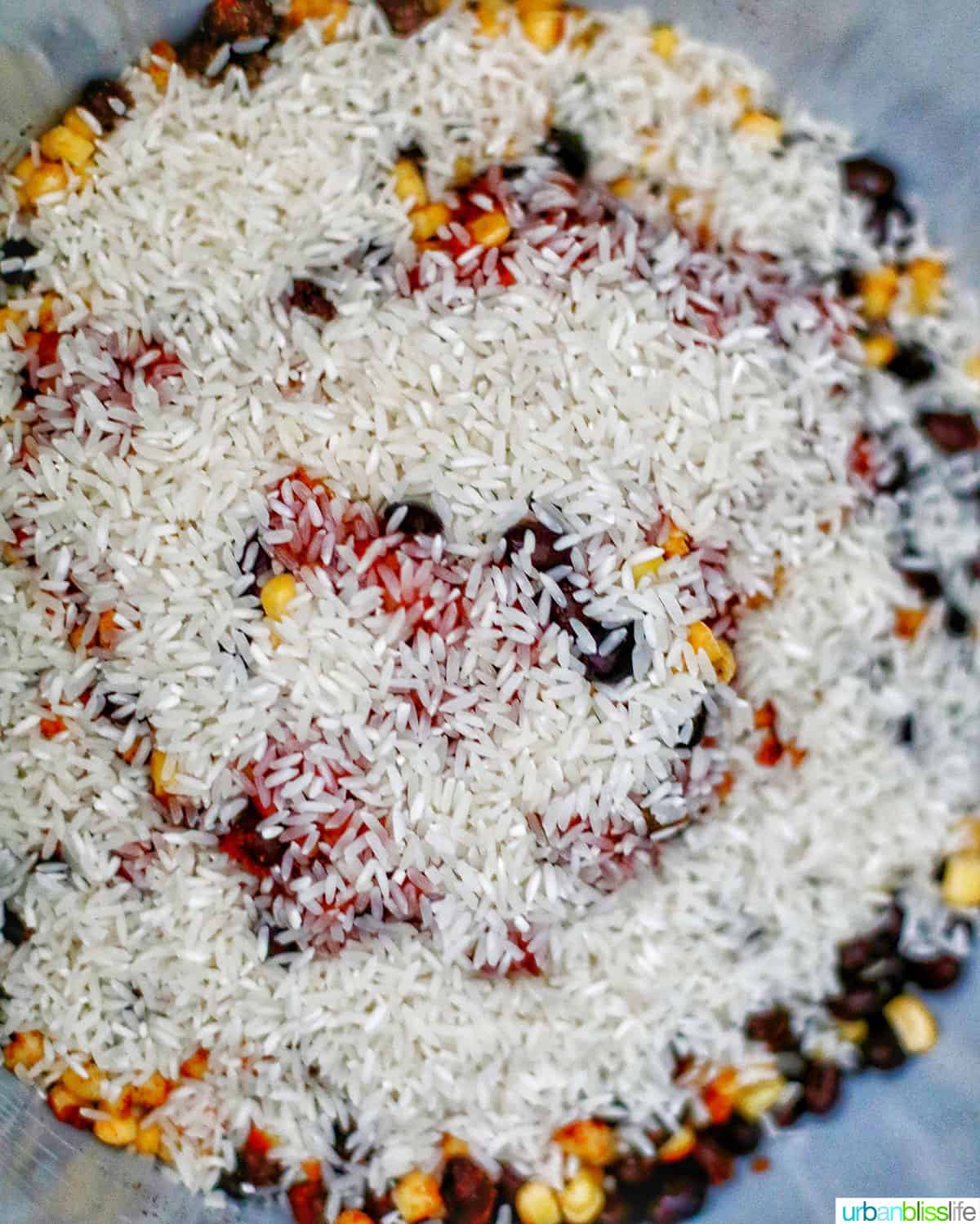 ingredients to make vegetarian burrito bowls in the instant pot