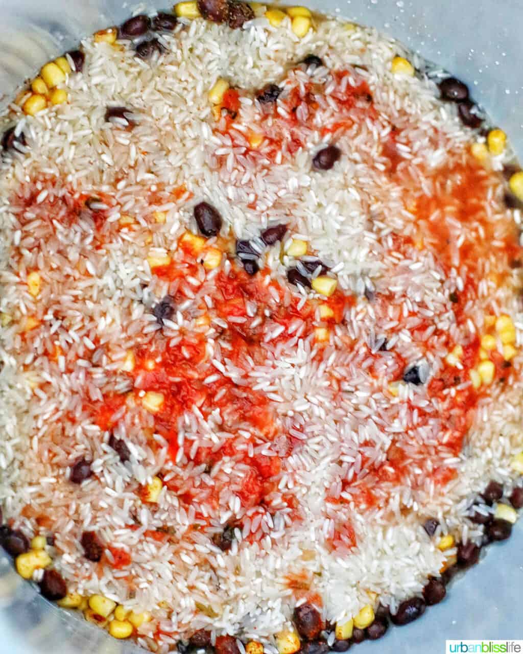 ingredients to make Instant Pot Vegetarian Burrito Bowl in the instant pot
