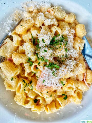 rigatoni at Allora restaurant