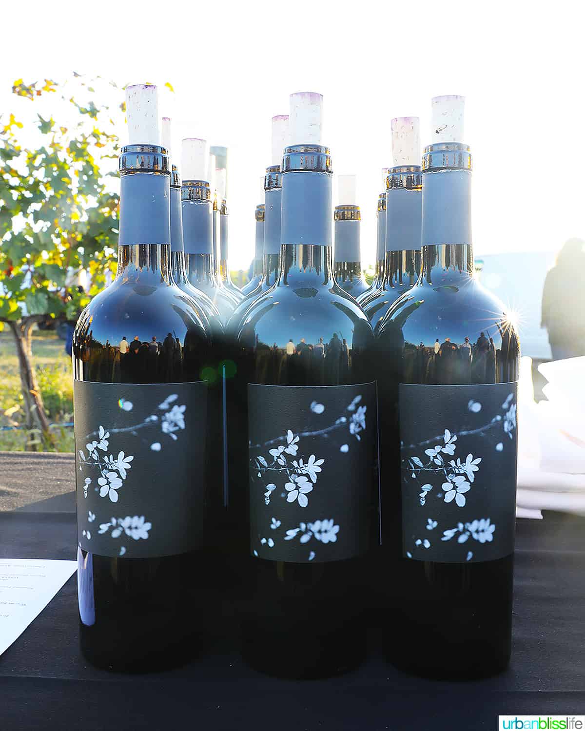 Brook and Bull The Silent Ode wine bottles