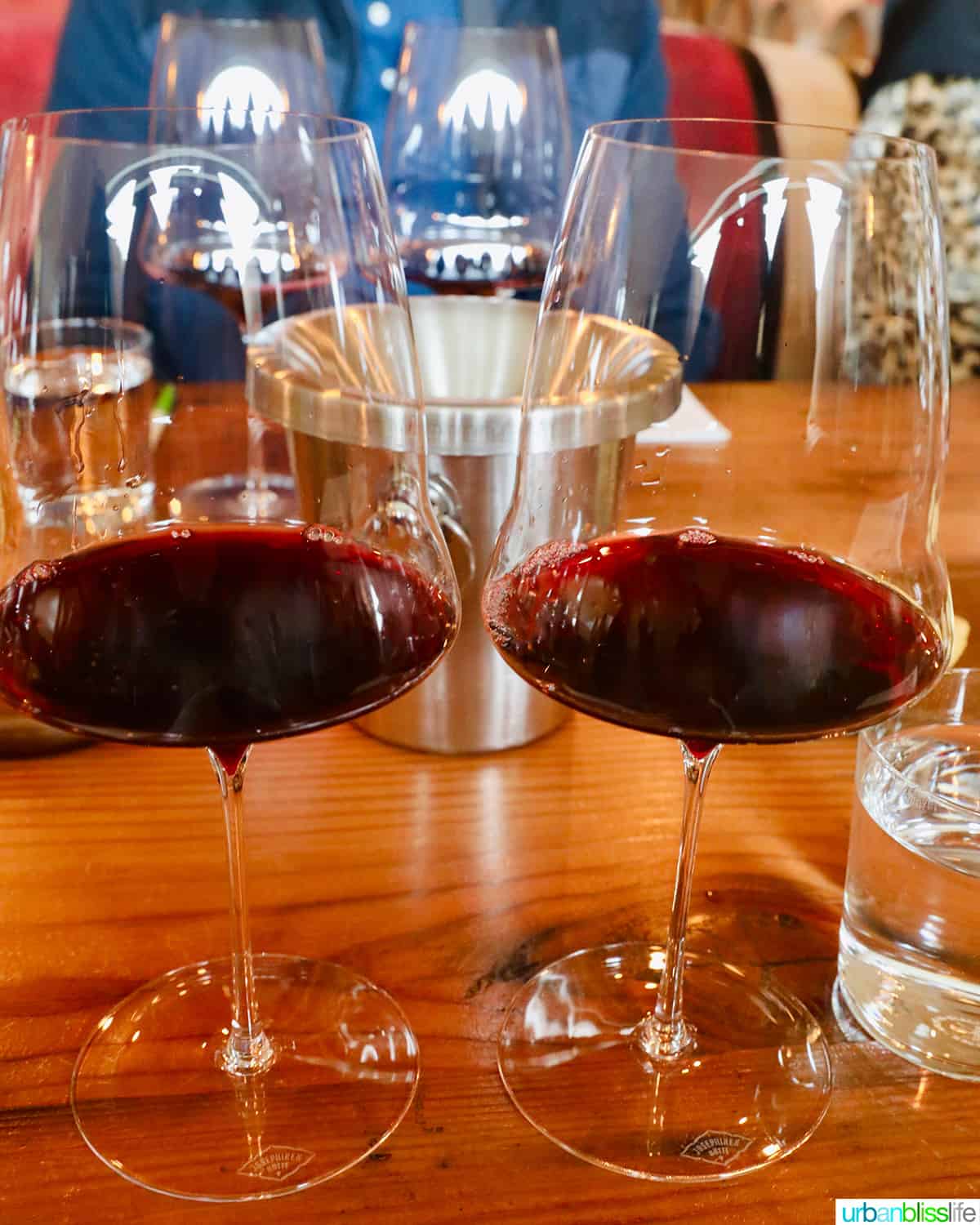 Delmas red wines