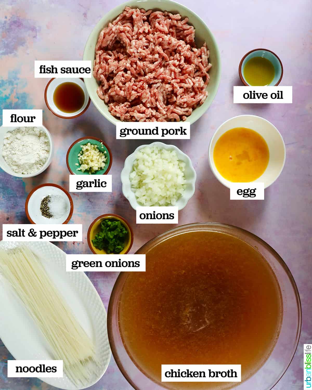 ingredients to make Filipino meatball and noodle soup (Almondigas), on a pastel colored table.