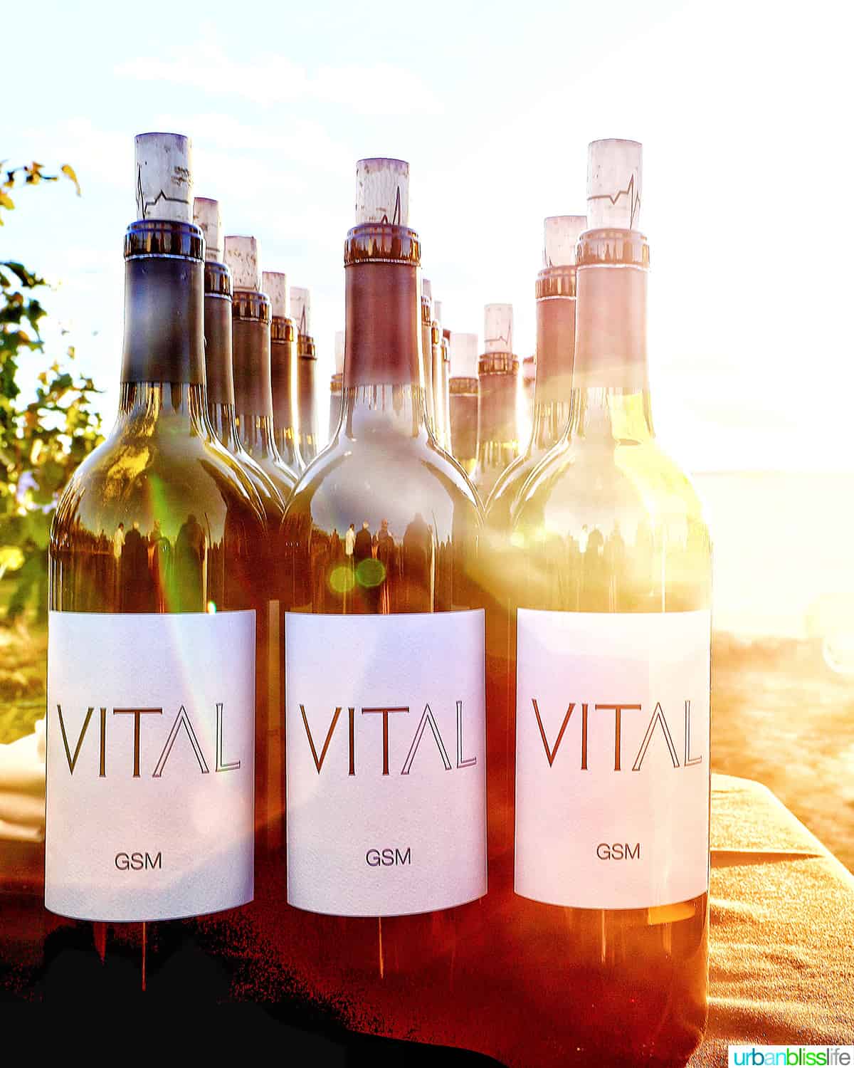 Vital wines GSM bottles