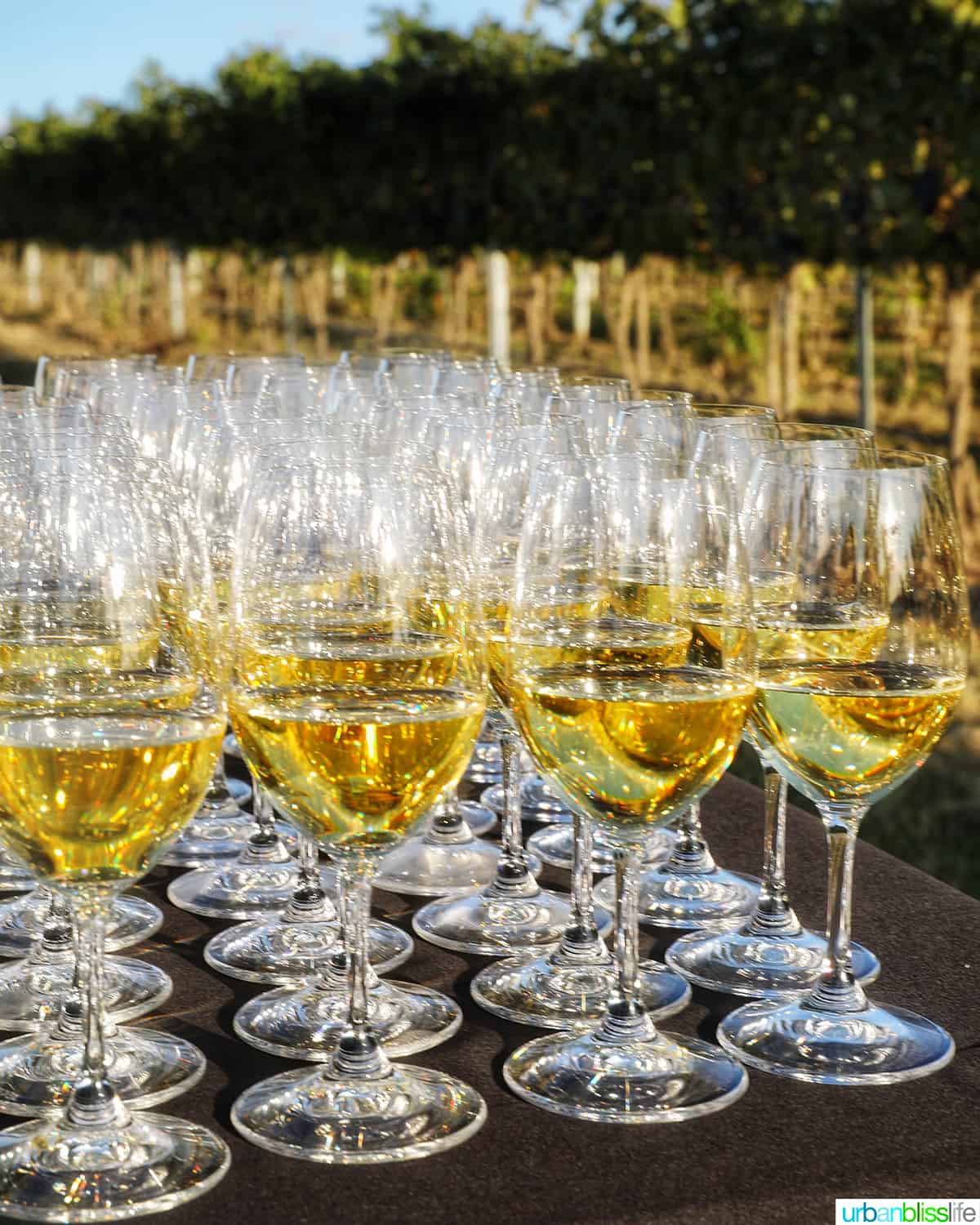 Vital wines Chardonnay