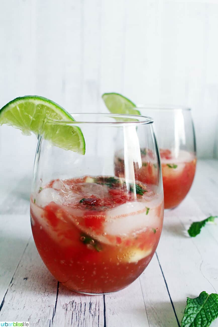 fruity cocktail recipes - watermelon mojito