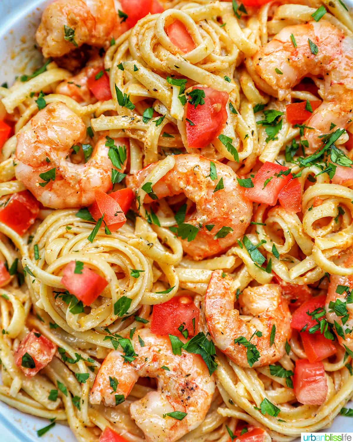 closeup of Cajun Shrimp Pasta