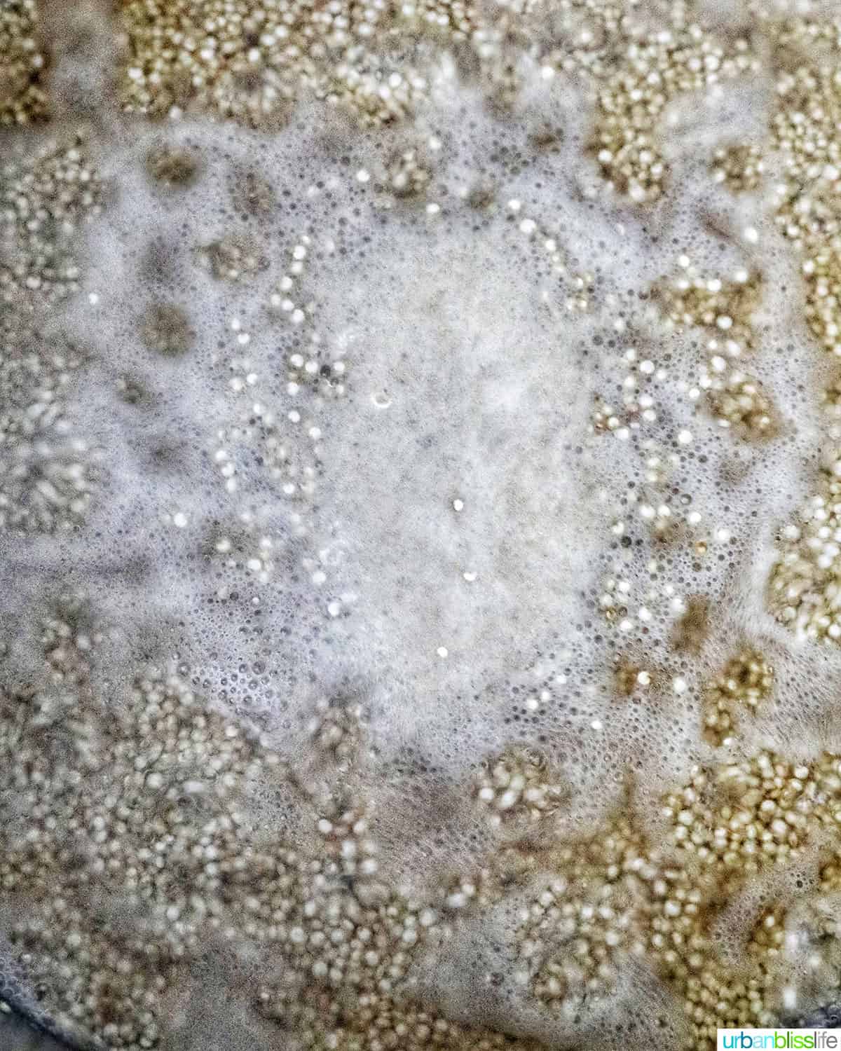 cooking quinoa