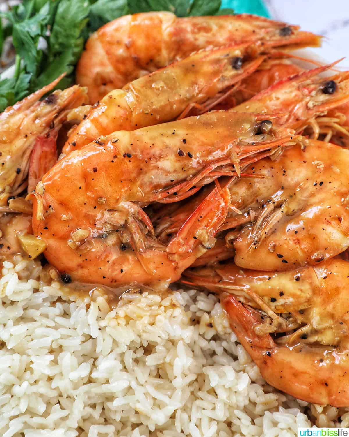 shrimp adobo with rice