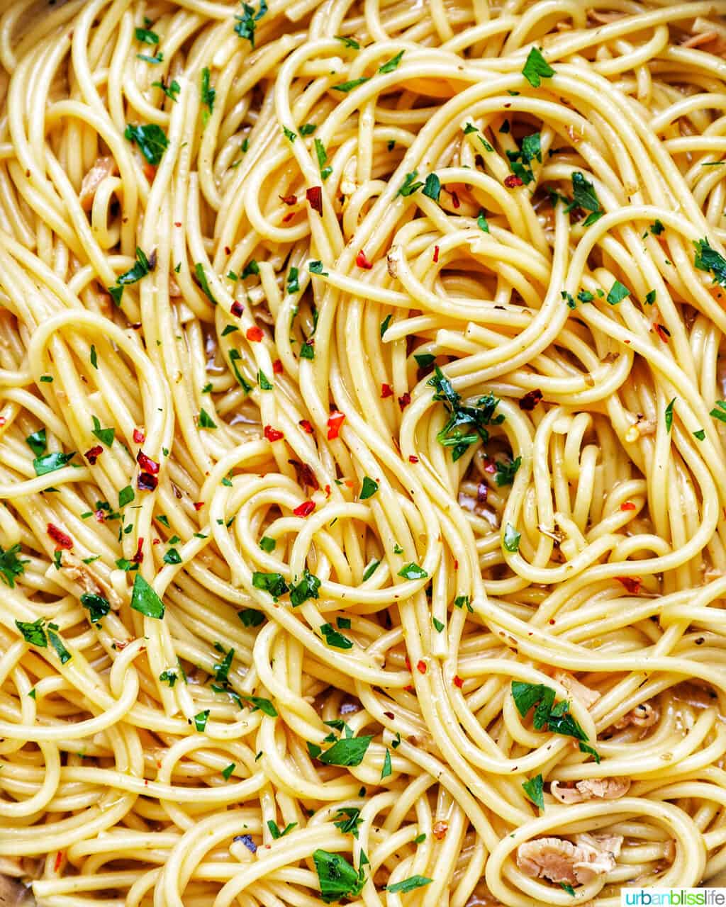closeup of pasta with clams and white wine sauce