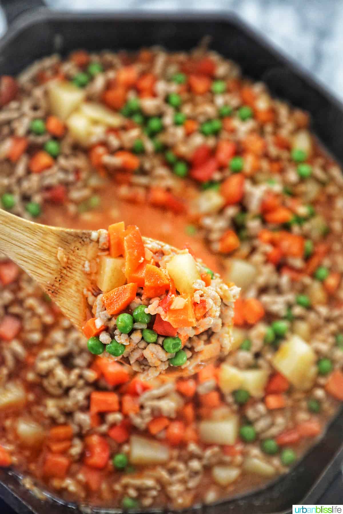 spoonful of ground pork menudo