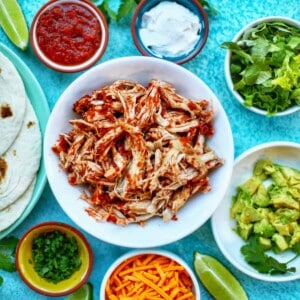 salsa chicken in a bowl surrounded by veggies.