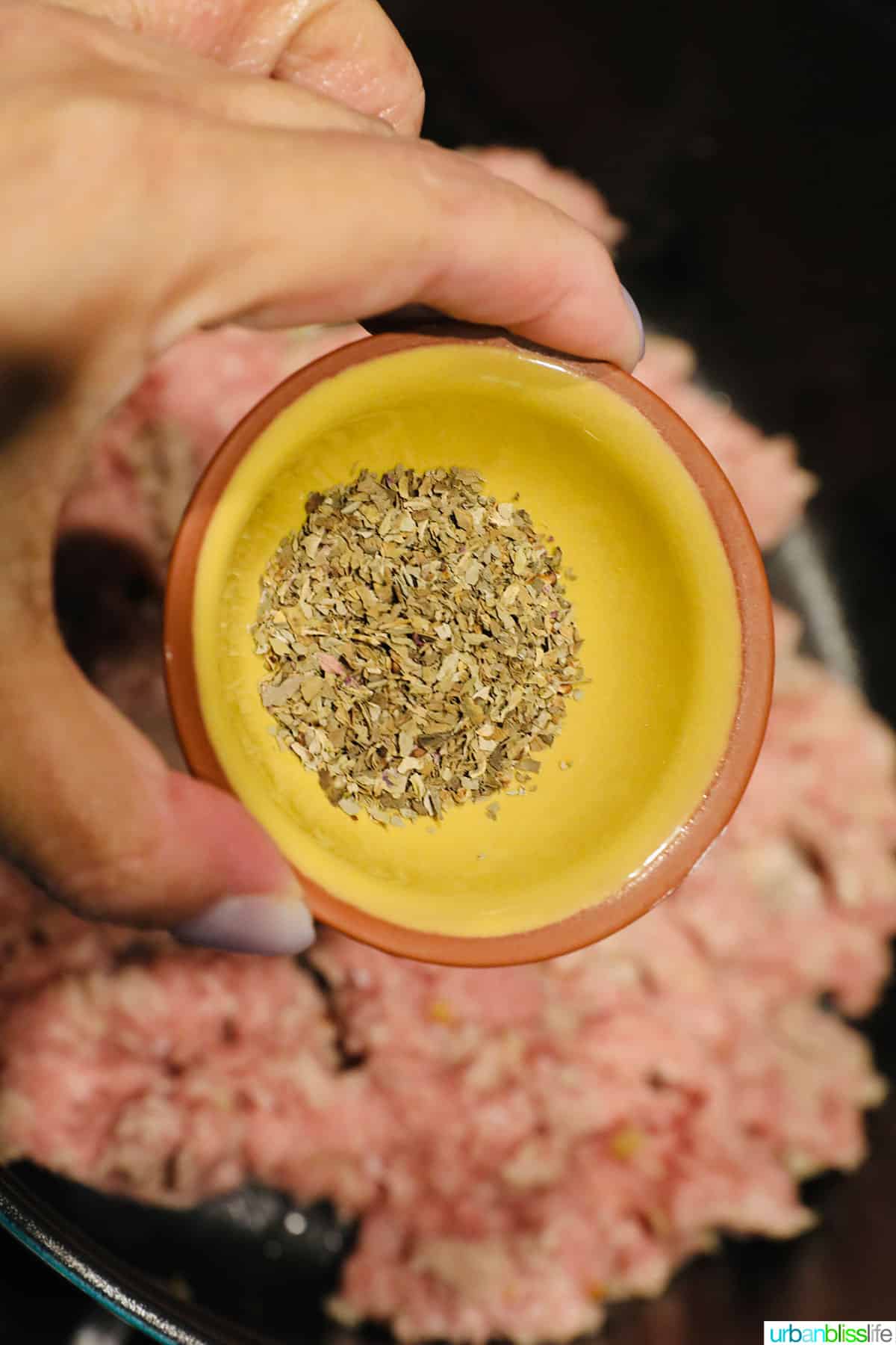 hand holding a pinch bowl of oregano to add to the pot.