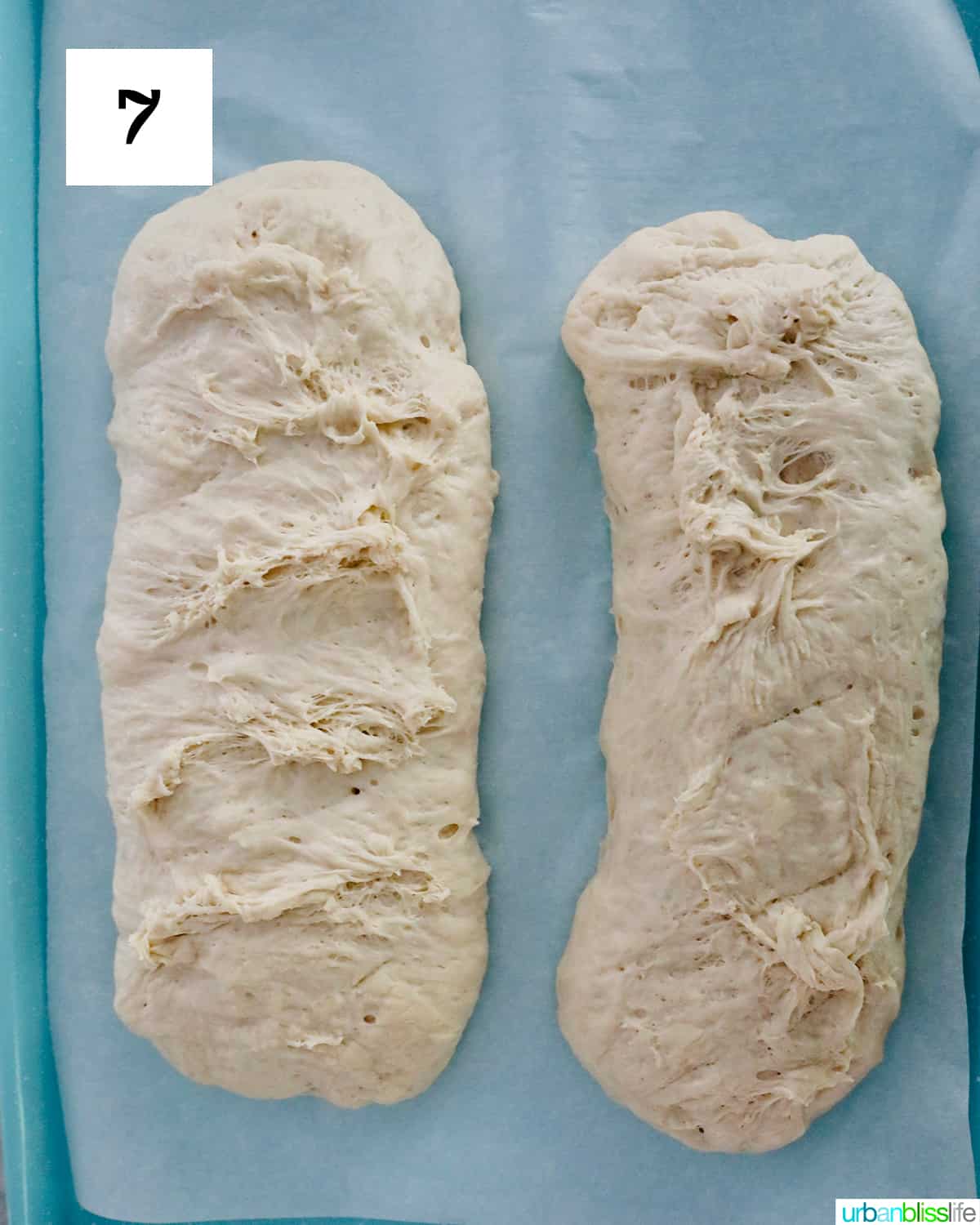two french bread loaves on a parchment paper-lined blue baking sheet ready to bake.