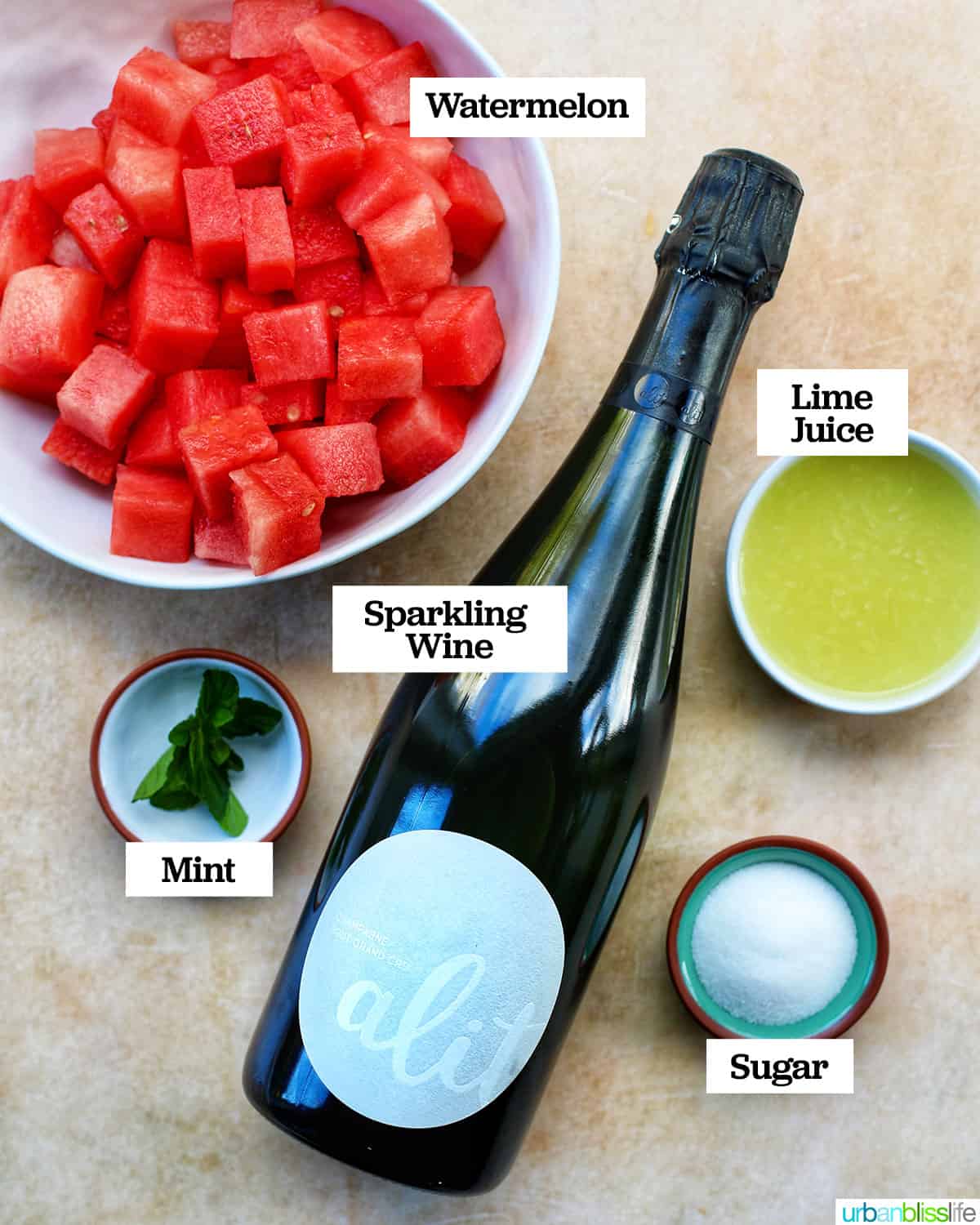 bottle of Champagne, bowls of watermelon cubes, lime juice, sugar and mint.