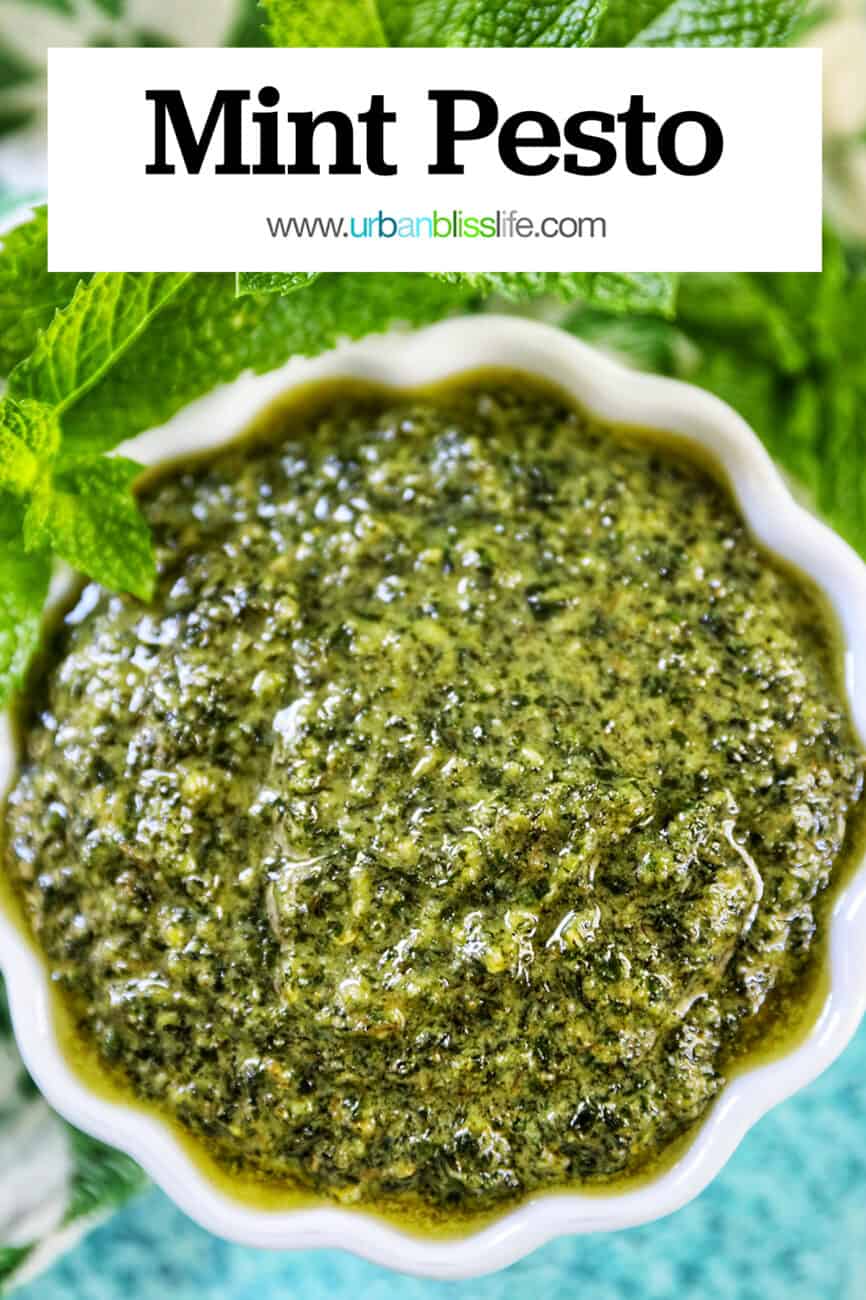 white scalloped bowl filled with mint pesto with mint leaves around the top of the bowl on a bright blue background with title text overlay.