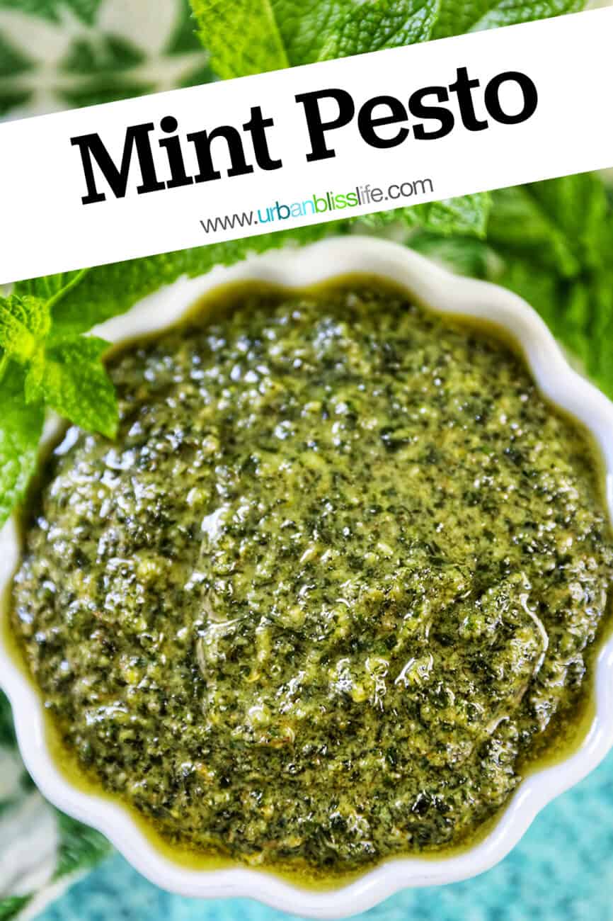 white scalloped bowl filled with mint pesto with mint leaves around the top of the bowl on a bright blue background with title text overlay.