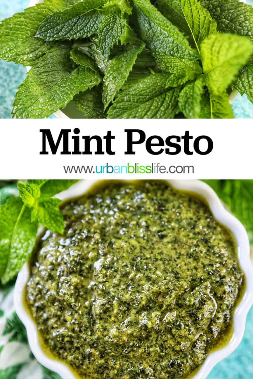 white scalloped bowl filled with mint pesto with mint leaves around the top of the bowl on a bright blue background with title text overlay and mint leaves on top.