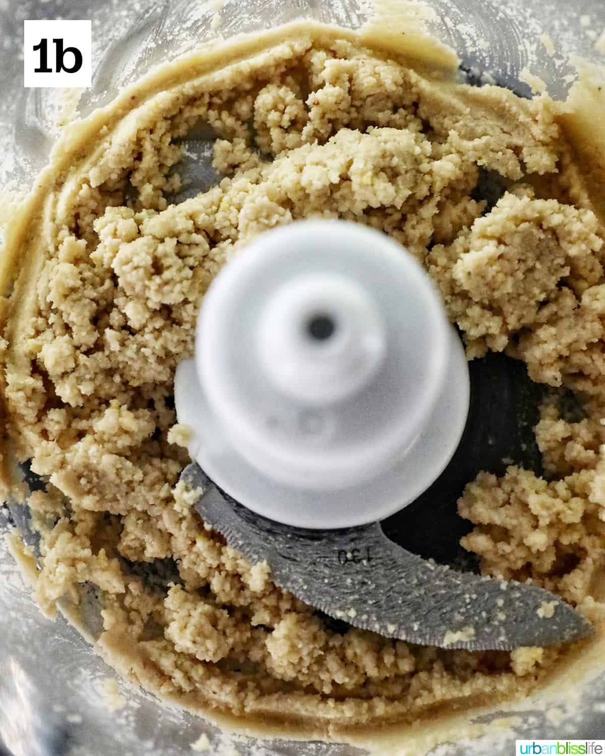 blended pine nuts in a food processor.