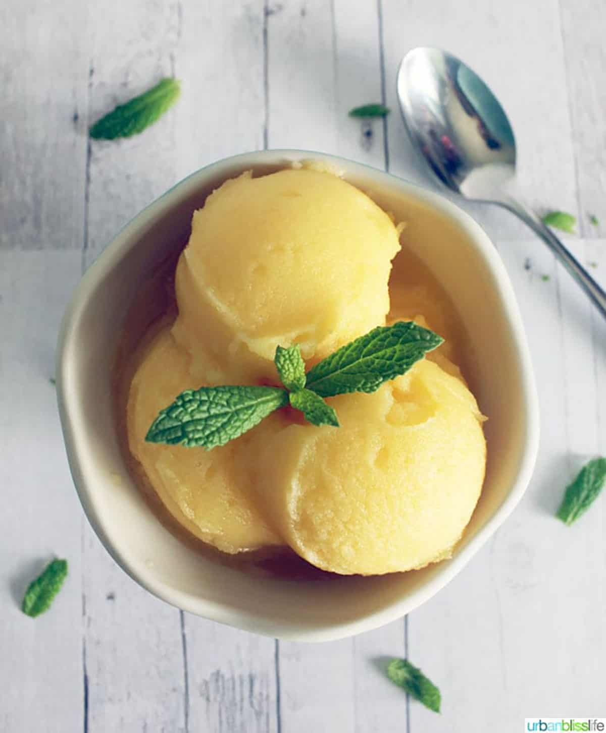 3 Orange Sorbet balls with a sprig of mint.