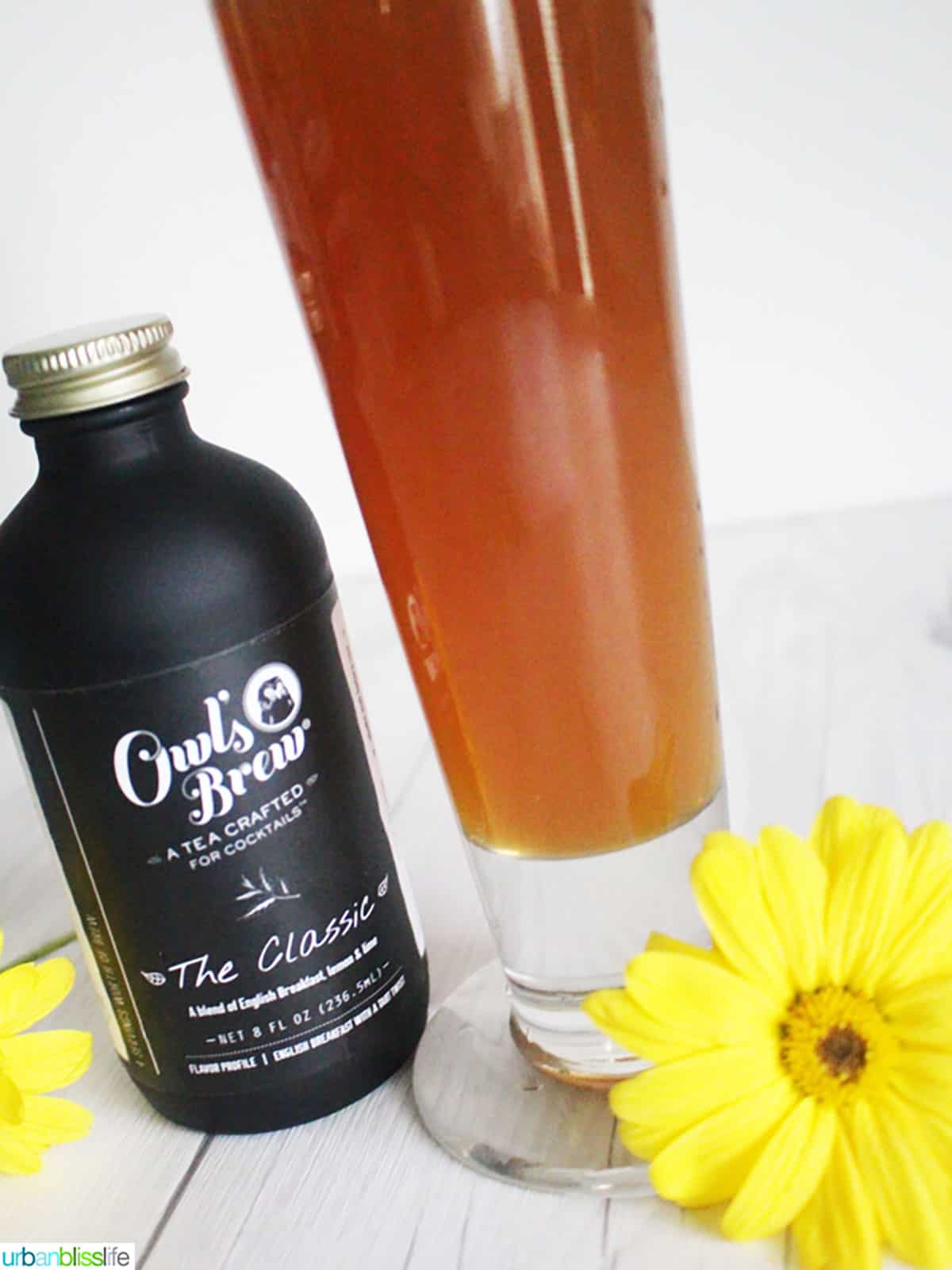 iced tea and beer cocktail with Iced with Owl's Brew tea.