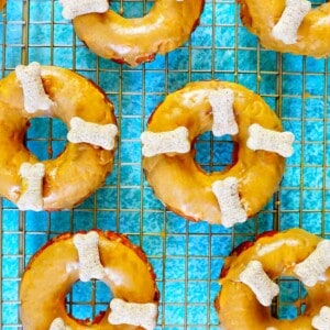 Glazed dog donuts with dog biscuits on a cooling rack on a bright blue table.