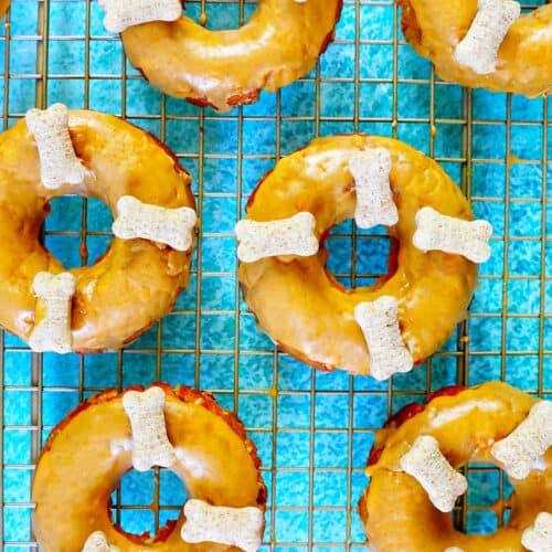 Glazed dog donuts with dog biscuits on a cooling rack on a bright blue table.