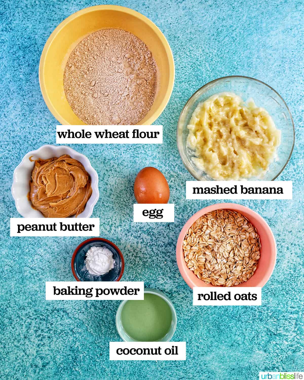 bowls of ingredients to make dog donuts on a blue background.