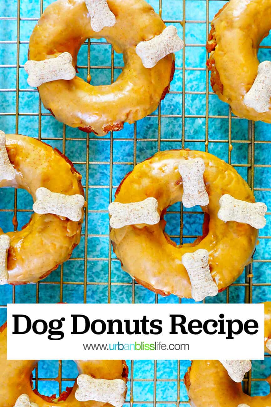 Dog donuts on a cooling rack on a bright blue table, with title text overlay.
