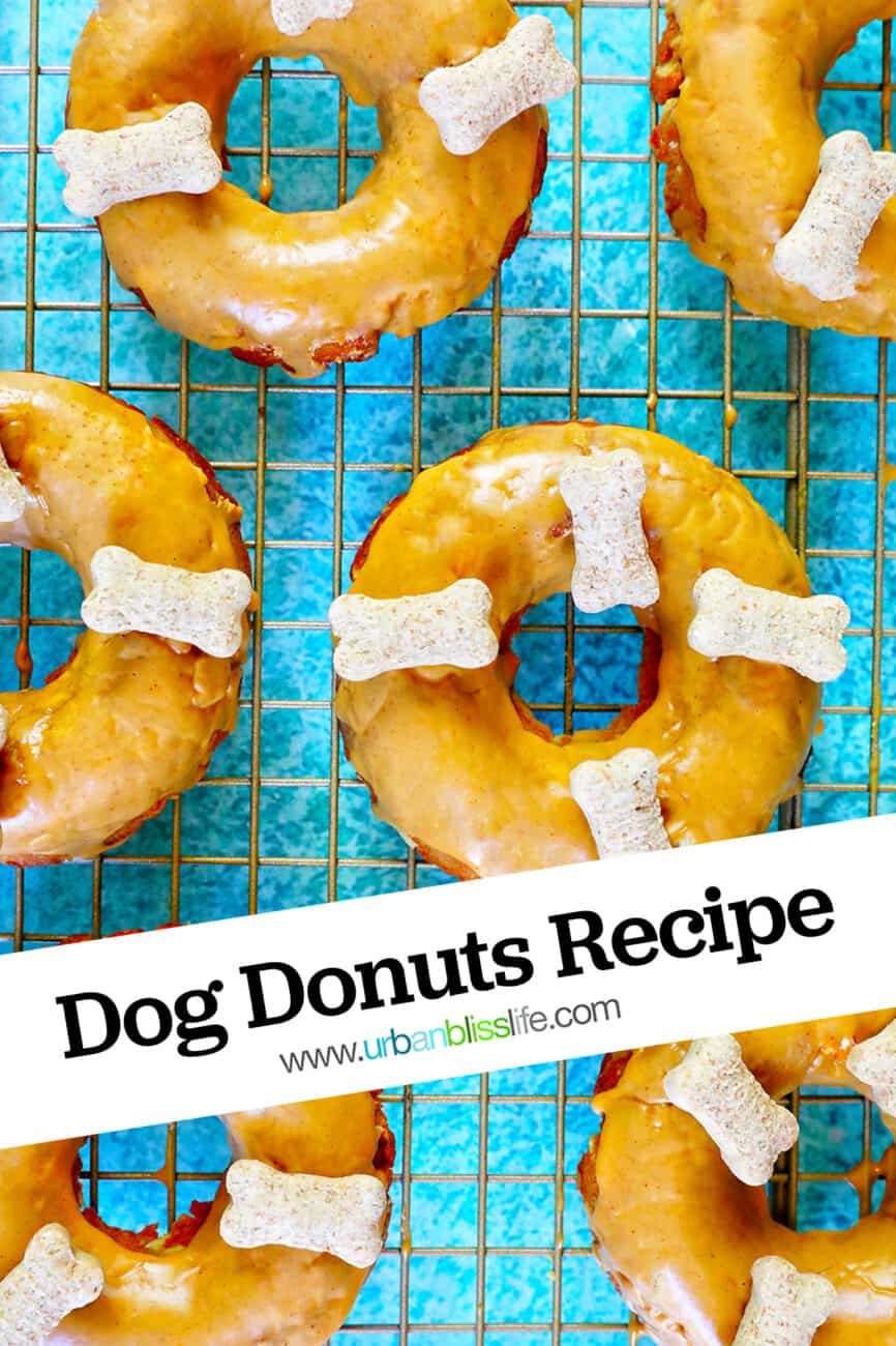 Dog donuts on a cooling rack on a bright blue table, with title text overlay.