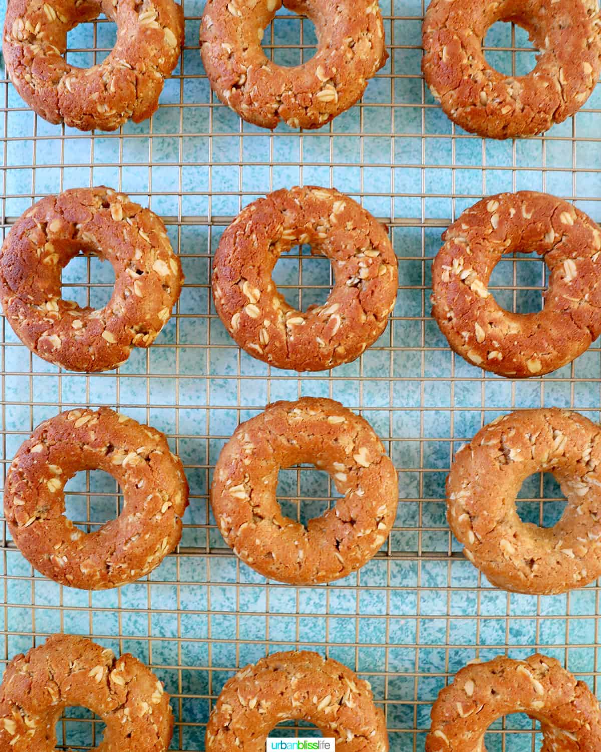 several dog donuts unglazed on a cooling rack.
