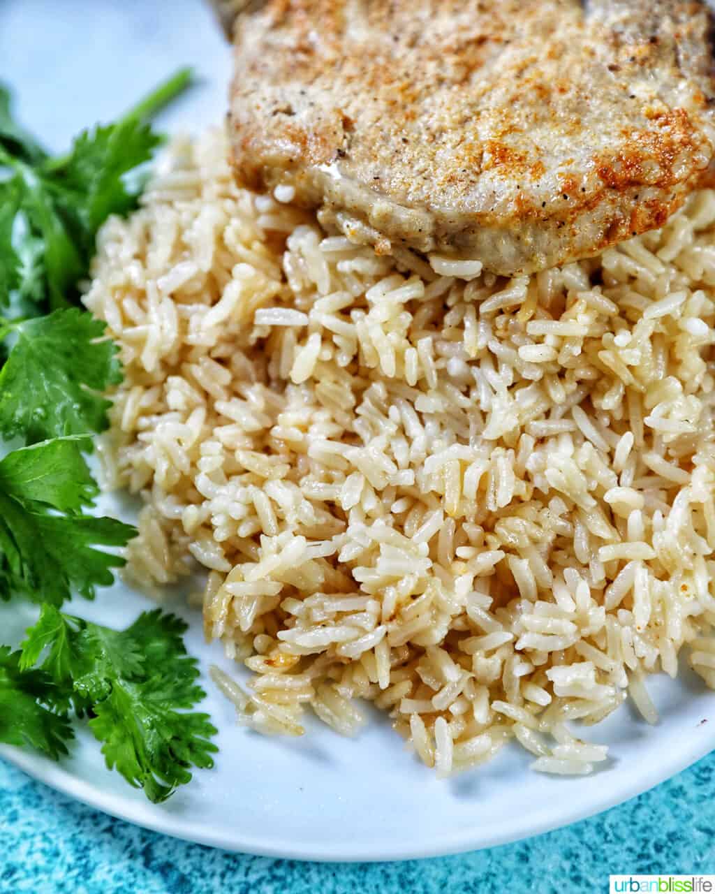Instant Pot Pork Chops and Rice on a white plate with side of greens.
