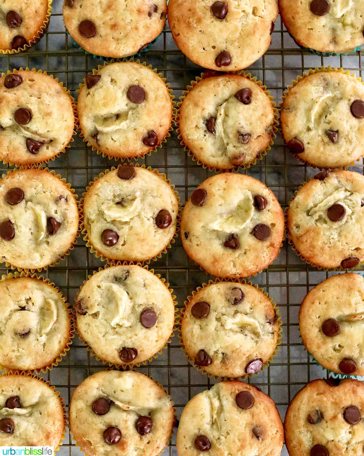 rows of banana chocolate chip muffins on a cooling rack.