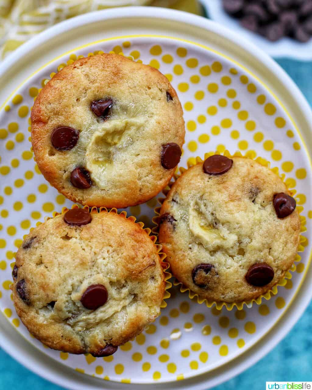 3 banana chocolate chip muffins on a polka dot plate.