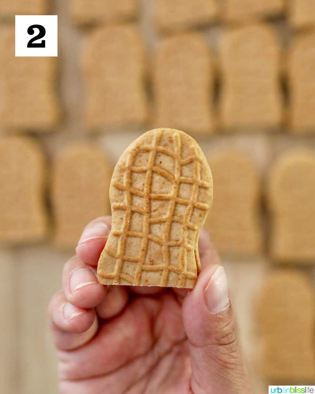 holding up half of nutter butter cookie 