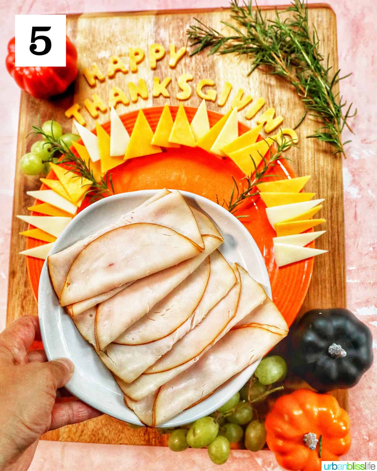 hand holding a plate of sliced turkey meat over a turkey charcuterie board.