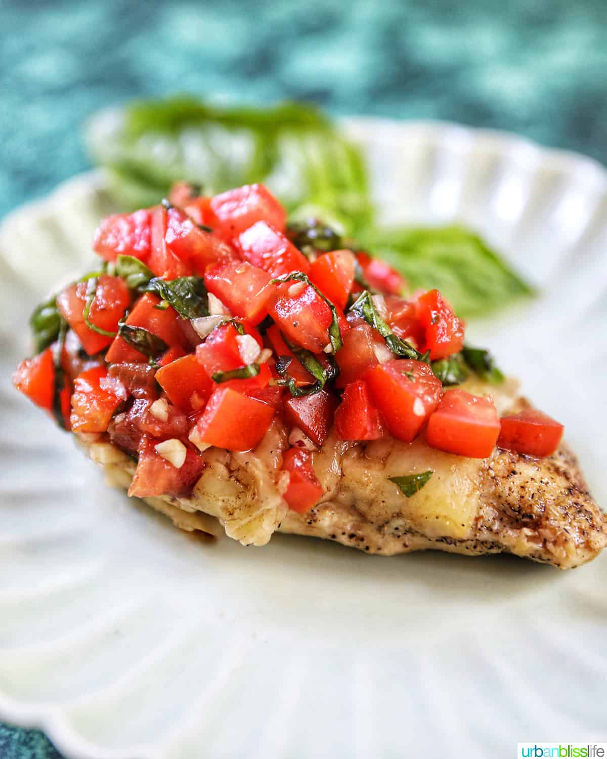single bruschetta chicken on a white plate with basil leaves in the background.