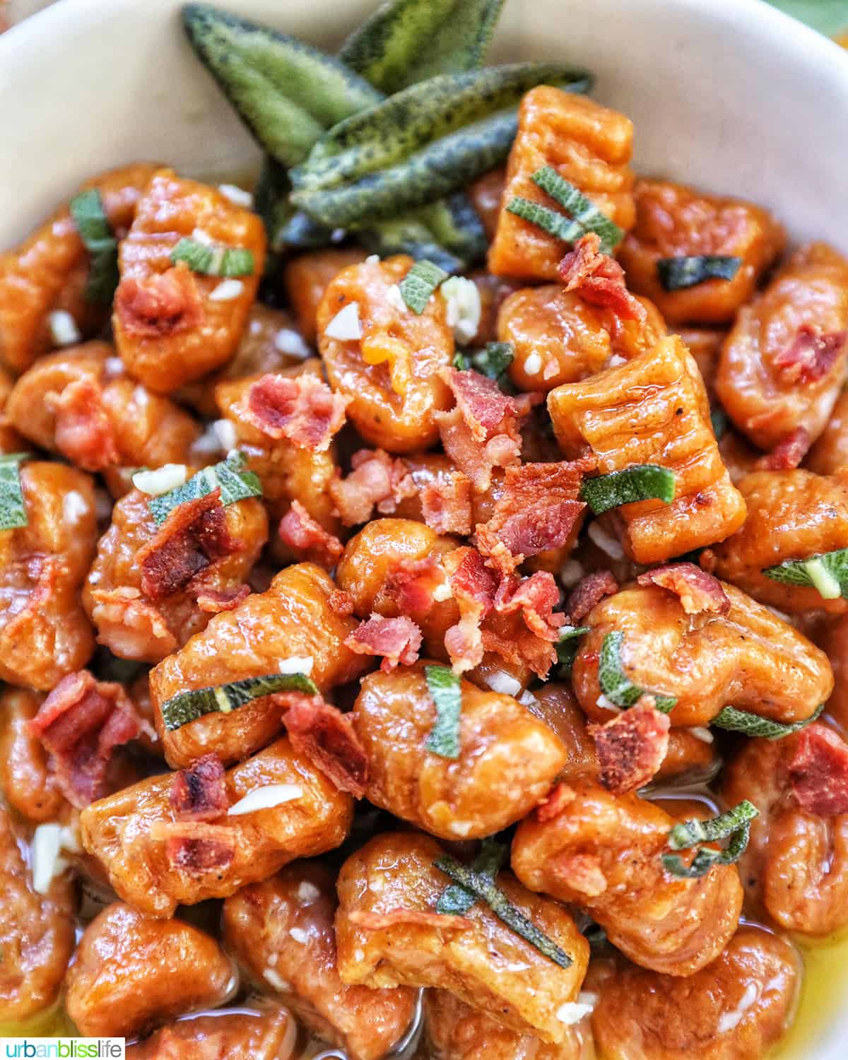 closeup photo of pumpkin gnocchi with sage and bacon.