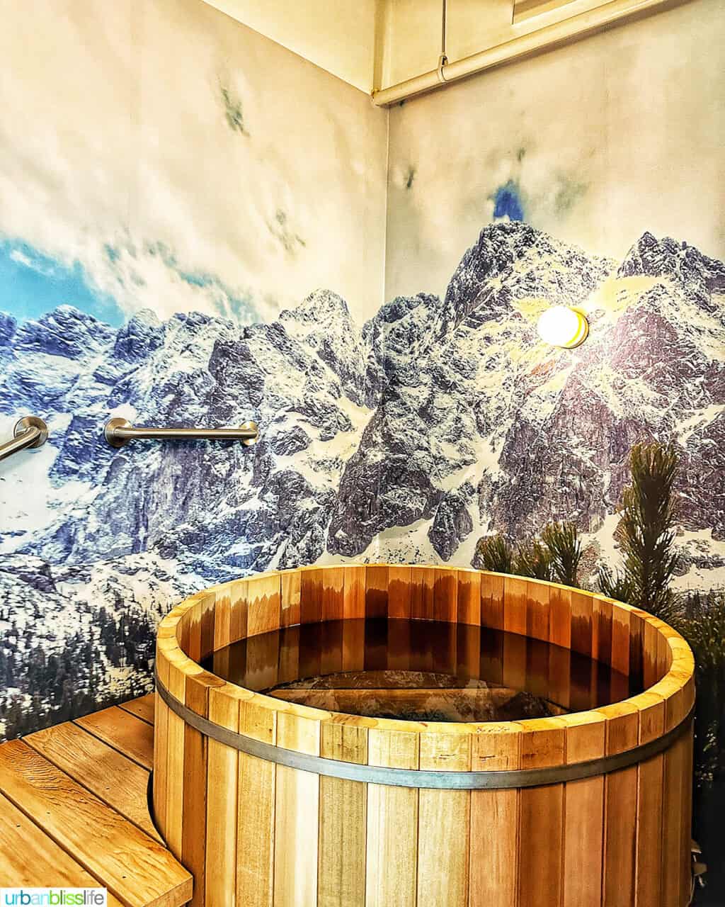 Ritual Nordic Spa ice plunge.
